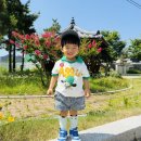 박곡안 Daum카페