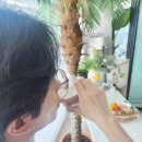 건강과 다이어트 한방에! 검은콩 서리태 효능 가득한 곡물도감 서리태두유 솔직후기