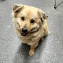 독성1리 하사 이미지