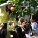 큰나무희망어린이집 이미지