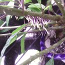 황금수퍼 이미지