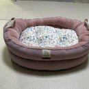 프레시독 이미지