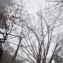 청풍김씨 묘문비 이미지