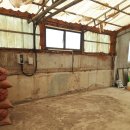 홍우농장 이미지