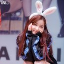 연우랜드 이미지