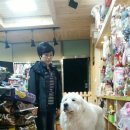 센스펫