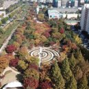 과천시 중앙공원 이미지