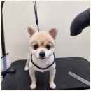 행복한미용실 이미지