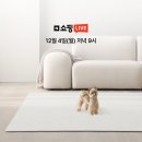 태리라이브