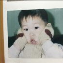 고져스