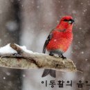 베스트스크린 이미지