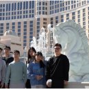 용인대 국가대표 유도관 이미지