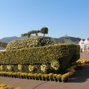 계룡 육해공 군문화 축제 이미지