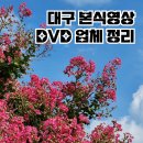 로터스101 어두운홀 대구 본식영상 DVD 업체 고민