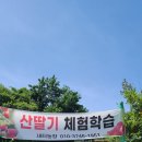 새터농장 티스토리