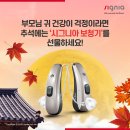 효도보청기 이미지