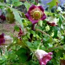 일동농장 이미지