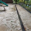 광양초등학교 이미지