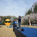 유성대로 1312번길 | 선박해양플랜트연구소(KRISO) 벚꽃 운동회 행사 후기!!! 8년 만의 귀환, 이래서 다들 체육대회를 기다렸다