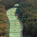 용인랜드 숲속캠핑장 네이버블로그