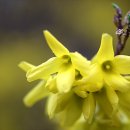 건원농장 이미지