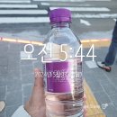 충무검도관 | [ 일상 ] 2024.05월 3주차
