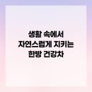 건강을 지키는 차생활 이미지