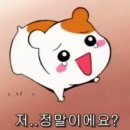 해피빈 이미지