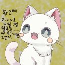 관찰화 예쁜 고양이 ^^♡ ㅡ 황은혜 이미지