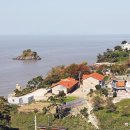 백수해안공원 Daum카페
