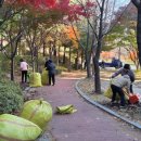 너른공원 이미지