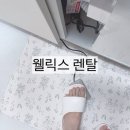 웰릭스렌탈비 | 홍진영 웰릭스 음식물처리기 설치했어요! / 장점 단점 공유