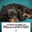 가평동물병원 이미지