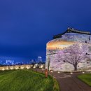 기획전시_전람회의 그림 Ⅵ _ 대한민국국제포토페스티벌 작가초대전 「사진, 시대를 증언하다」 | 최재란 : 카이로스 벽화