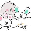 댕댕카페