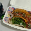 [신사] 신사 주민이 벌써 3번이나 간 로컬 타코 맛집🌮｜올디스타코 솔직후기