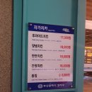 자가치카 이미지