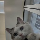 다옴헤어살롱 이미지