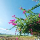 힐링 뷰 하우스 이미지