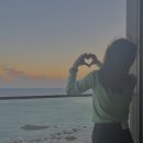 프로젝트준 이미지