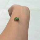 수수상라 이미지