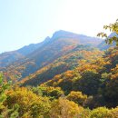 운문산 자연 휴양림의 가을단풍 이미지