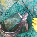 바다그리다 이미지