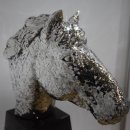 제주시민회관 이미지