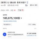 디시 주갤러의 분산투자 이미지