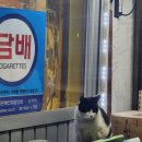 대광상회 이미지