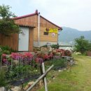 얼음골 봄 이미지