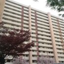 미성상가 앞 이미지