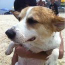 병세농장 이미지