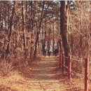 명리한약국 이미지